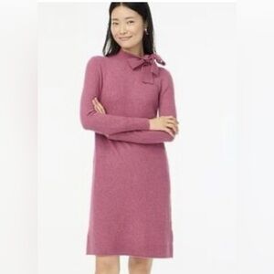 J. Crew Rose Long Sleeve Dress - NEW